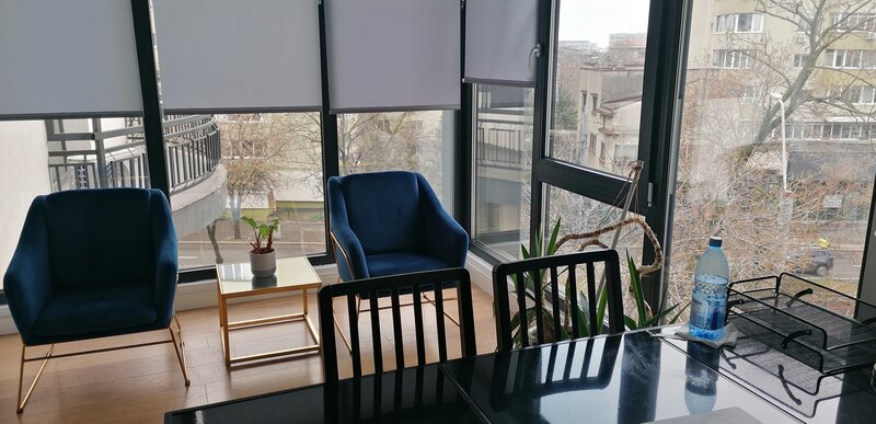 Sector 1, sos. Nicolae Titulescu 48, Bucuresti,